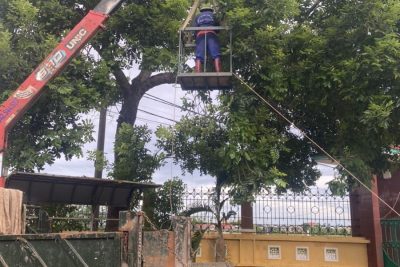 ƯƠM MẦM XANH HỨA HẸN THÀNH CÔNG