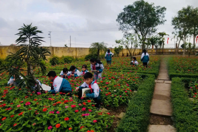 HIỆU QUẢ GIÁO DỤC TỪ MÔ HÌNH TRƯỜNG HỌC XANH